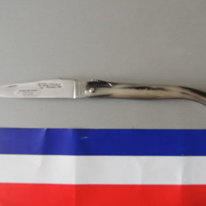 Couteau Laguiole en Aubrac 1 pièce 12cm Manche Cactus Blanc 2